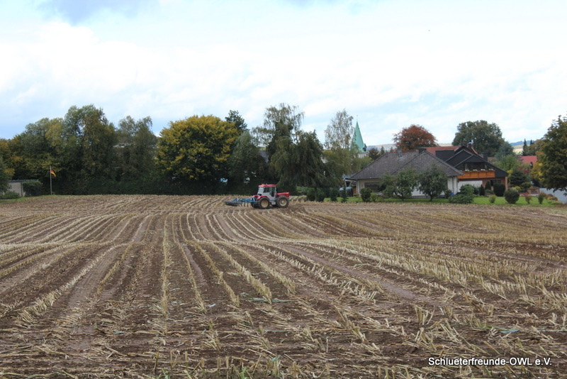 kleiner Feldtag, Bild 15