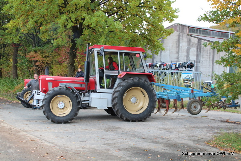 kleiner Feldtag, Bild 16