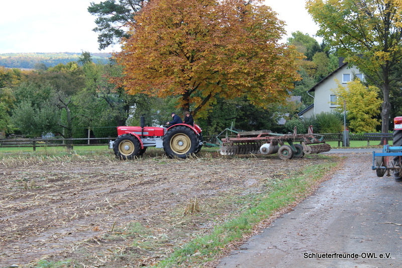 kleiner Feldtag, Bild 17