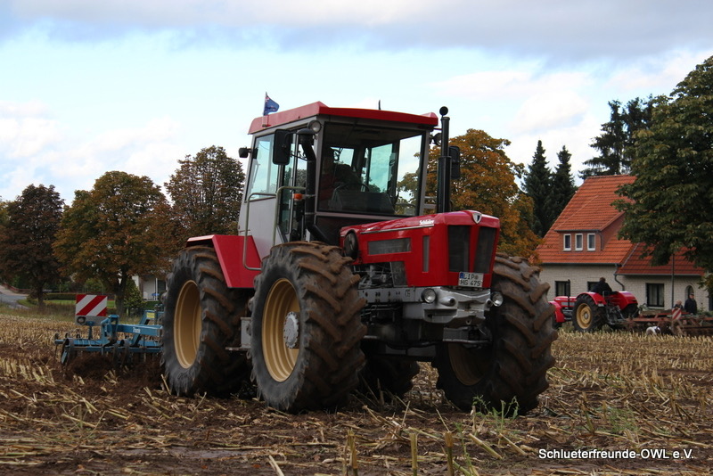 kleiner Feldtag, Bild 20