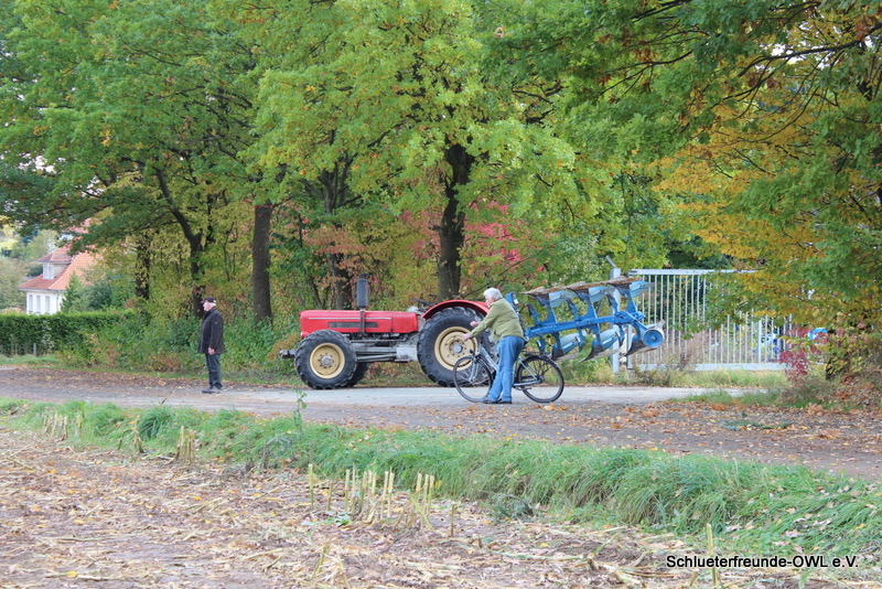 kleiner Feldtag, Bild 29