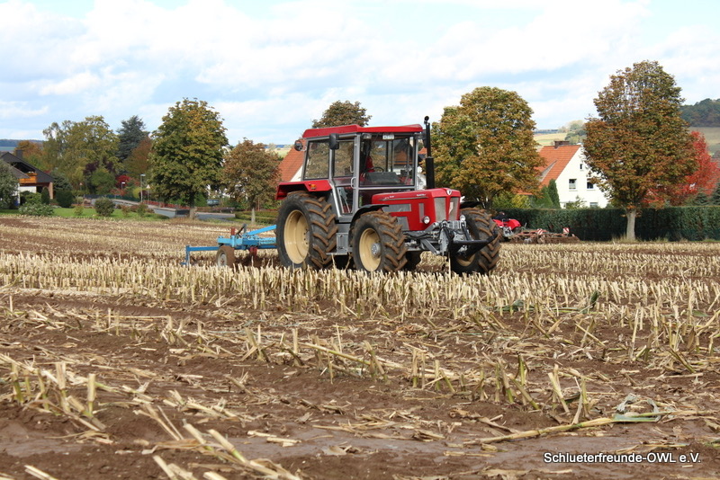 kleiner Feldtag, Bild 31