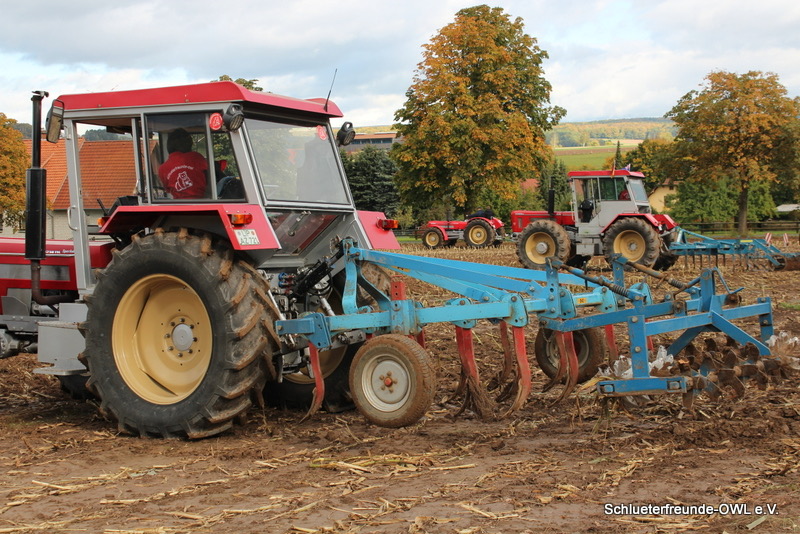 kleiner Feldtag, Bild 36
