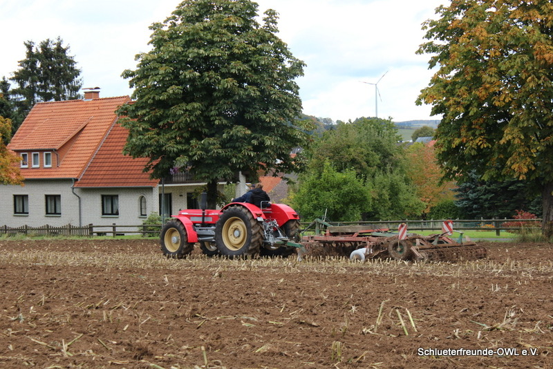 kleiner Feldtag, Bild 38