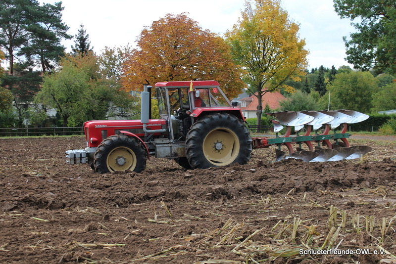 kleiner Feldtag, Bild 39