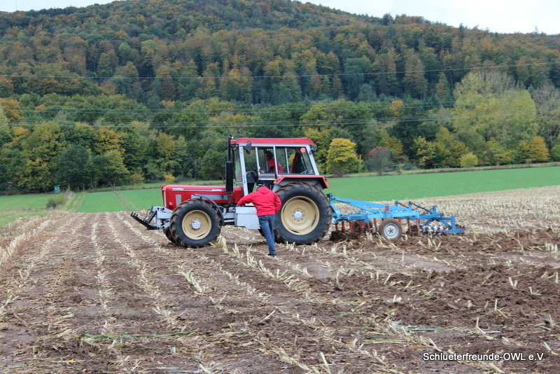 kleiner Feldtag, Bild 43