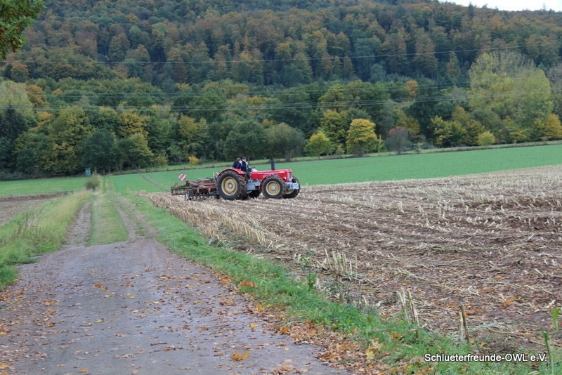 kleiner Feldtag, Bild 46
