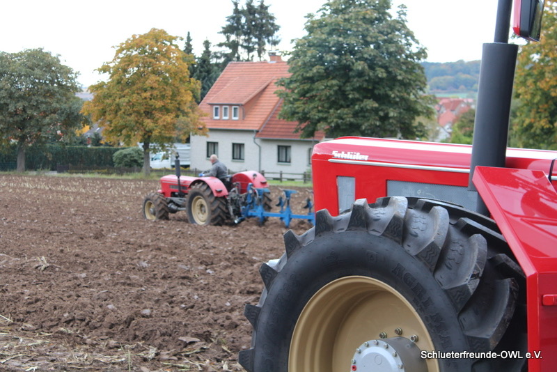 kleiner Feldtag, Bild 50