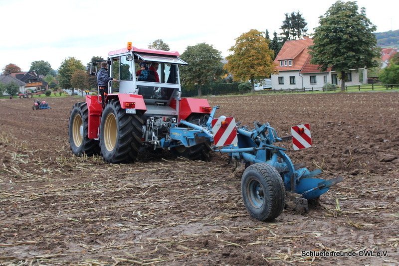 kleiner Feldtag, Bild 51