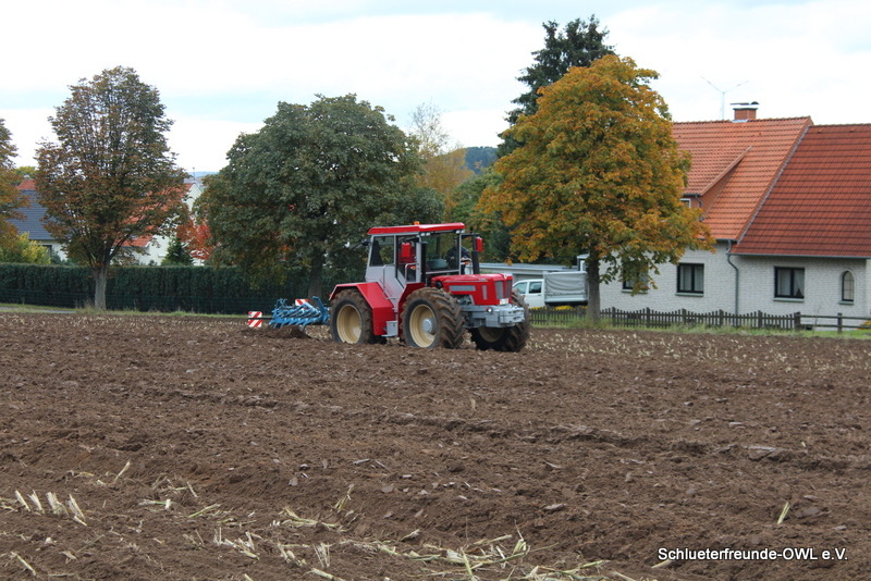 kleiner Feldtag, Bild 52