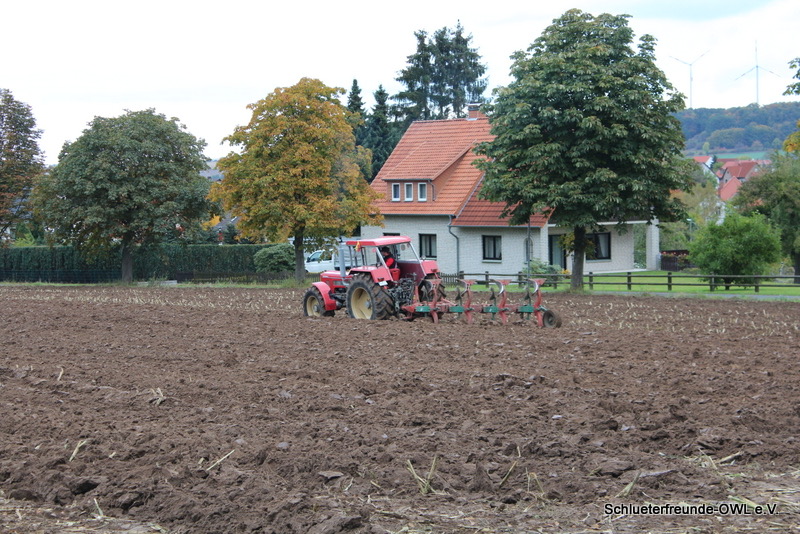 kleiner Feldtag, Bild 55