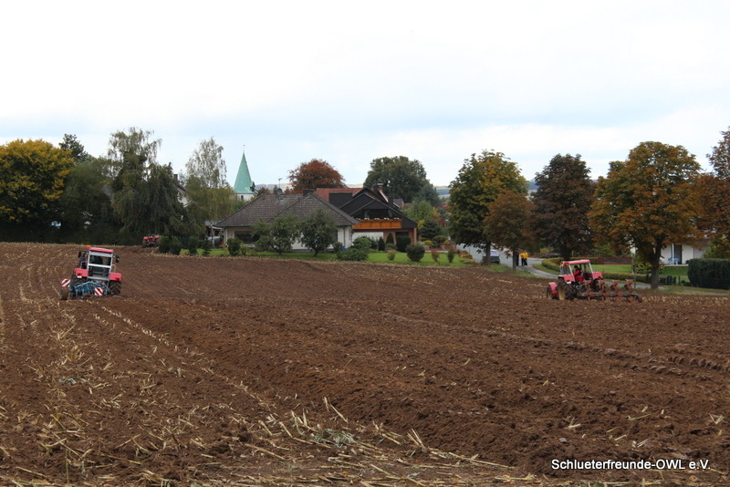 kleiner Feldtag, Bild 57