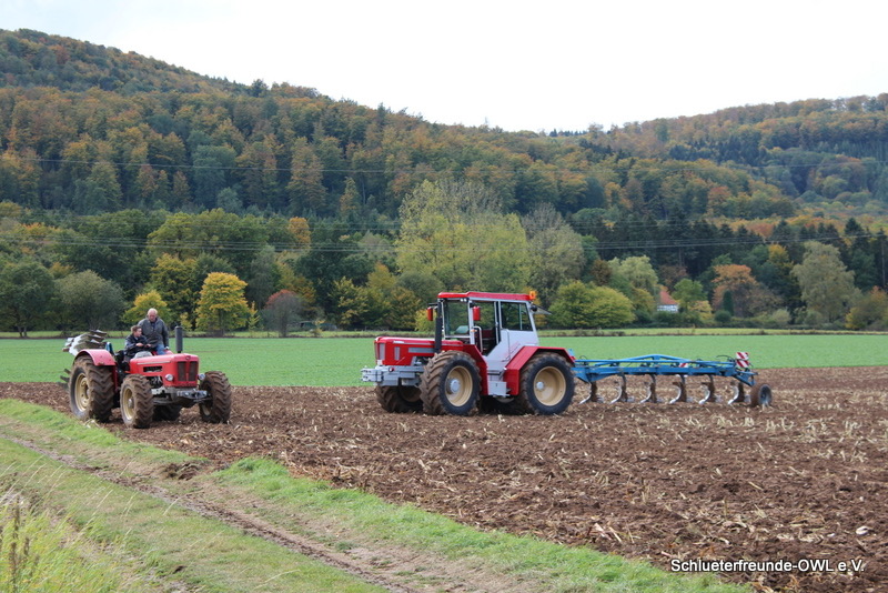 kleiner Feldtag, Bild 61
