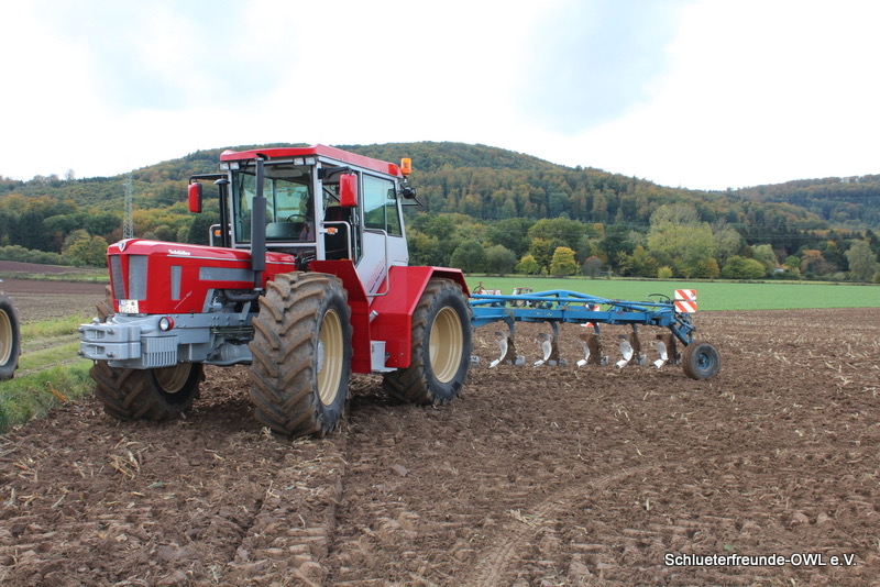 kleiner Feldtag, Bild 62