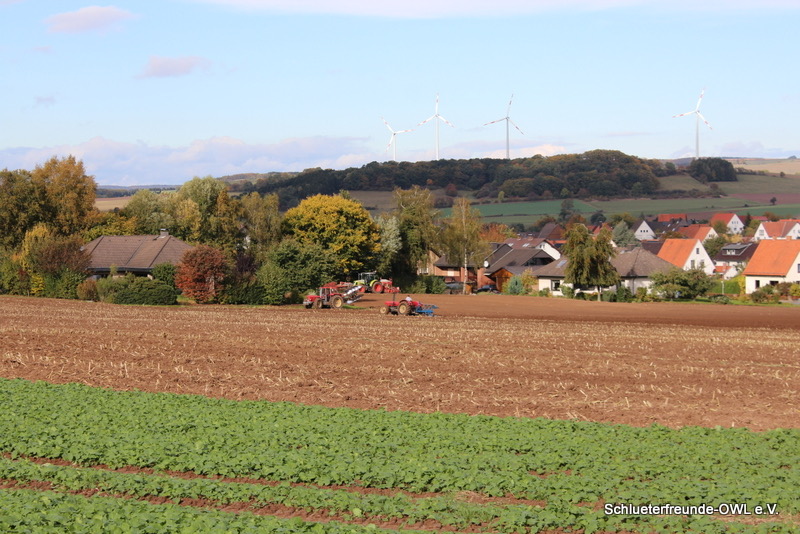 kleiner Feldtag, Bild 68