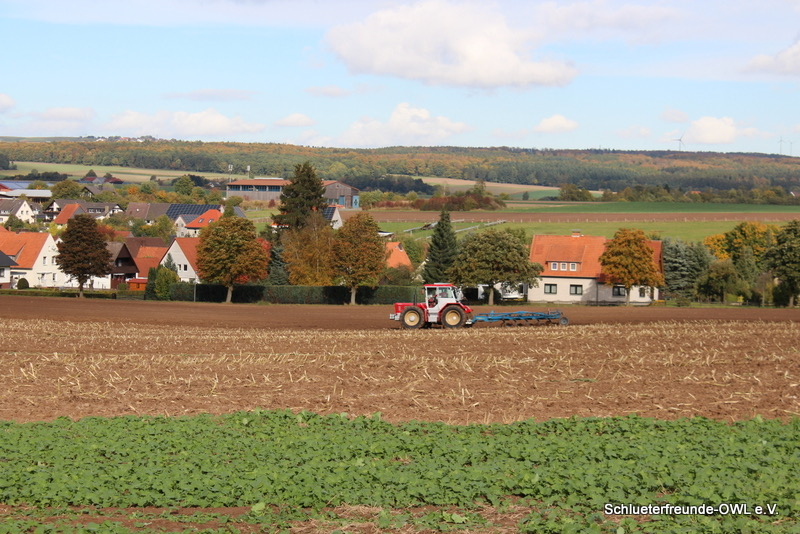 kleiner Feldtag, Bild 69