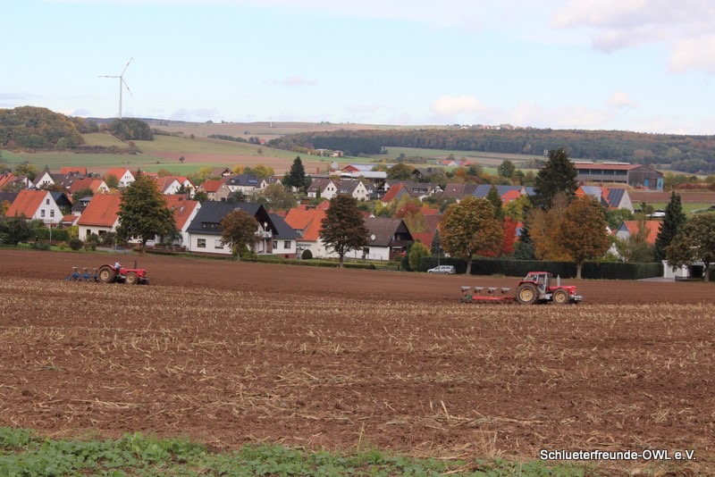 kleiner Feldtag, Bild 74
