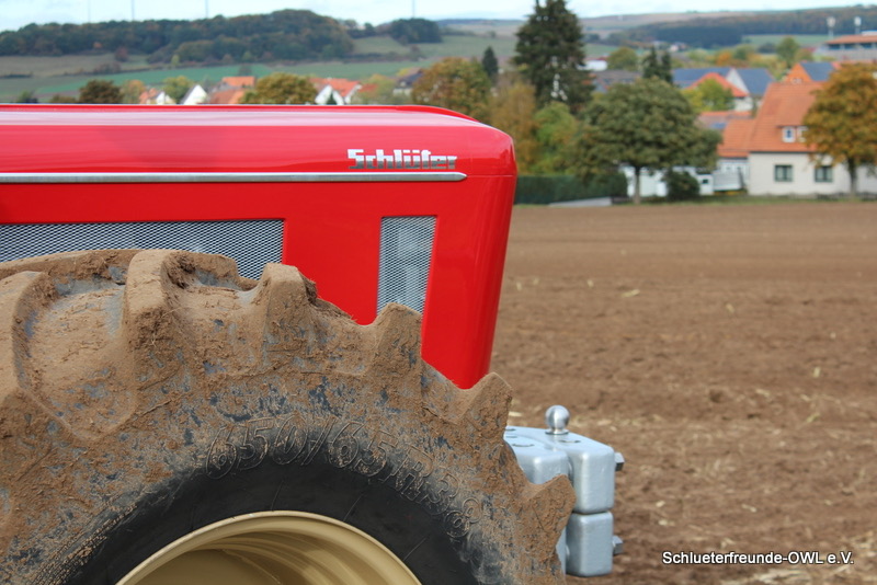 kleiner Feldtag, Bild 76