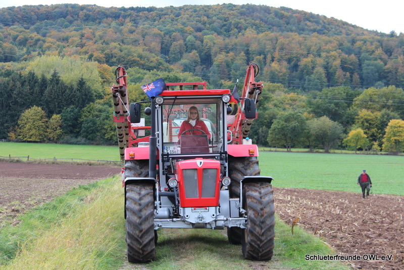 kleiner Feldtag, Bild 79