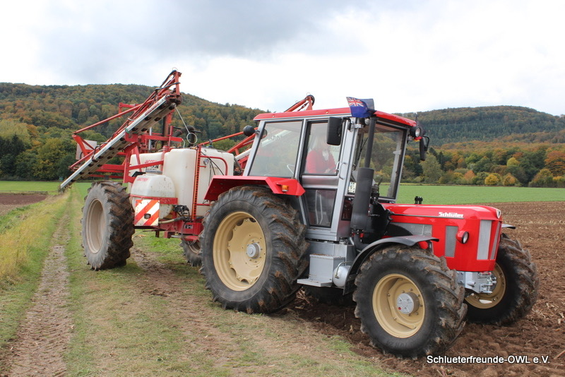 kleiner Feldtag, Bild 80