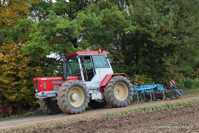 kleiner Feldtag, Bild 90