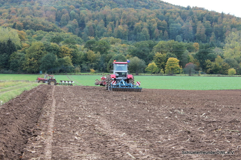 kleiner Feldtag, Bild 94