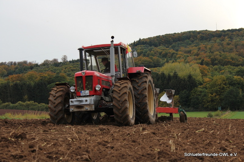 kleiner Feldtag, Bild 97