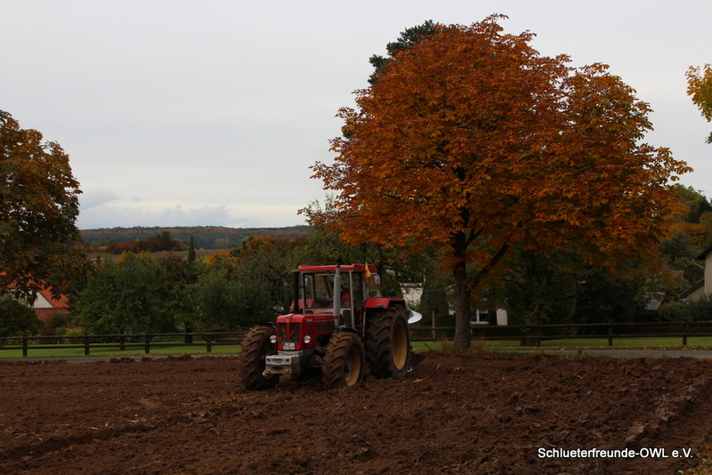 kleiner Feldtag, Bild 100