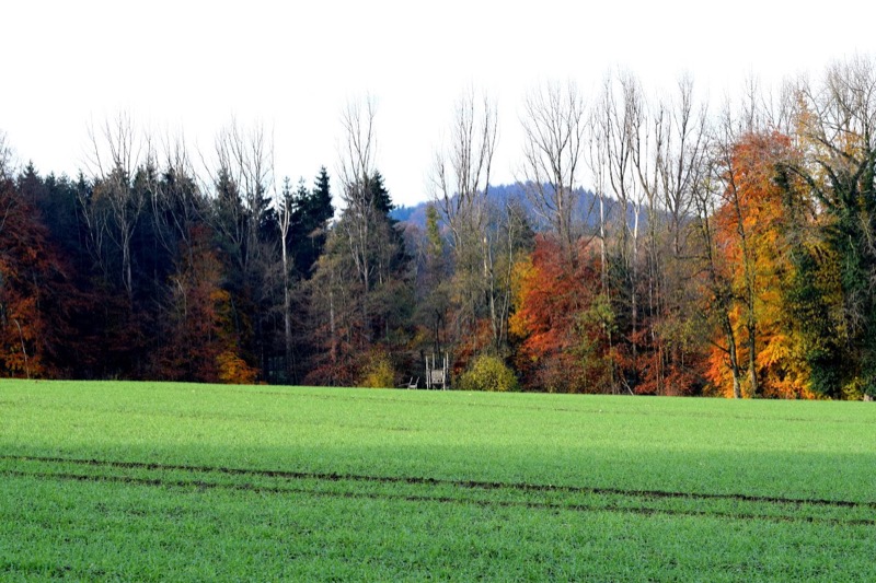 Jahresabschluss, Bild 14