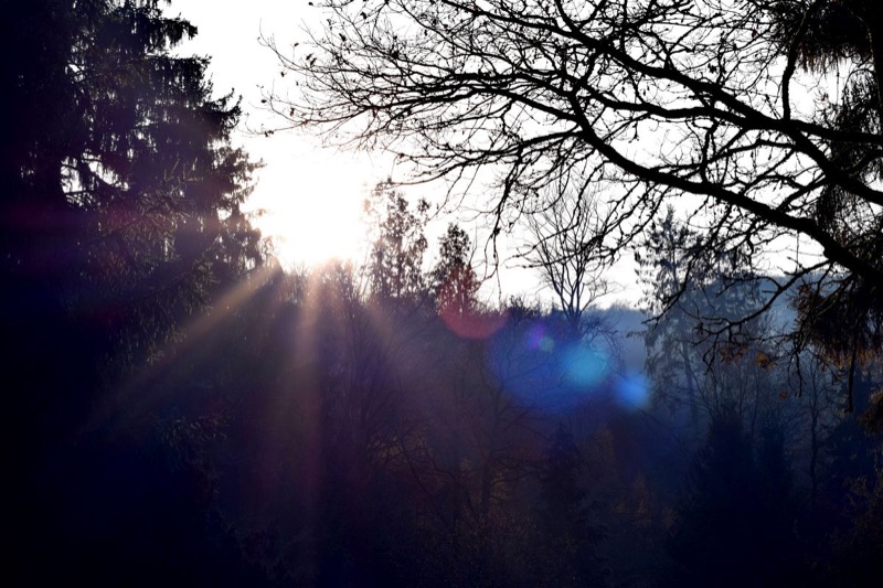 Jahresabschluss, Bild 29
