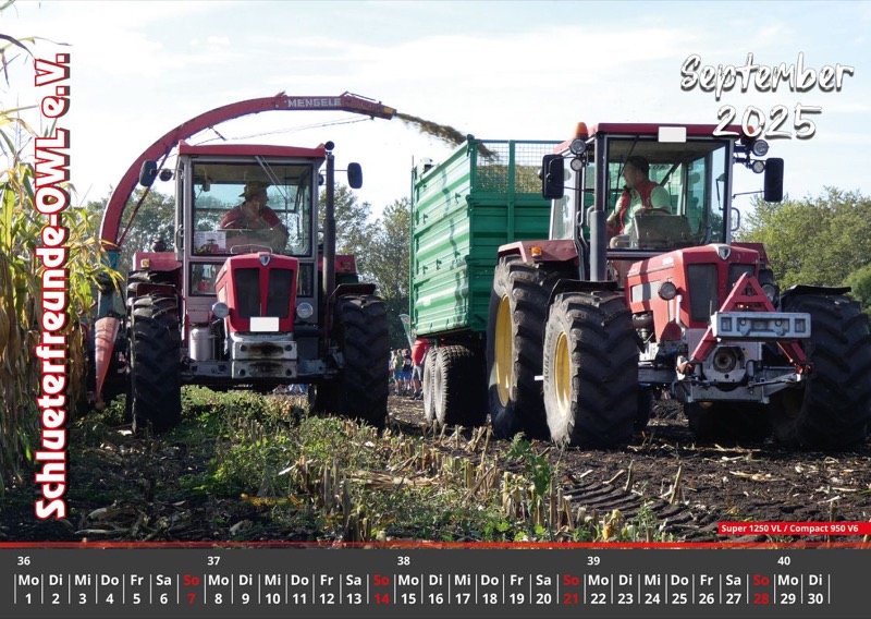 Kalender 2025, Bild 2