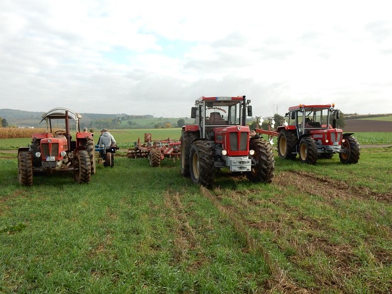 Kleiner feldtag und martinimarkt
