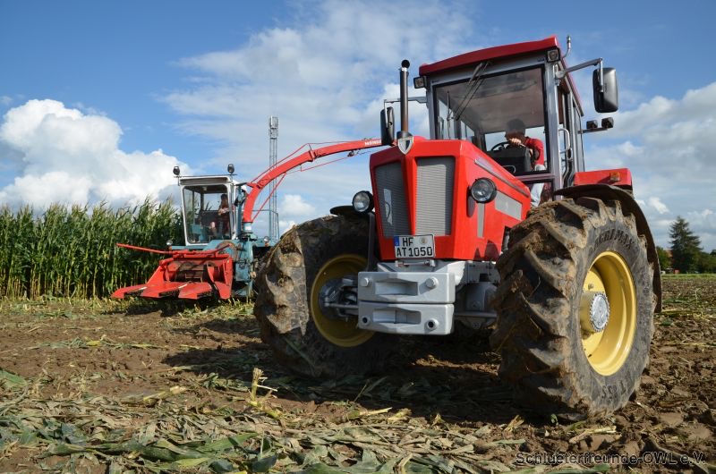 4. Feldtag 2014, Bild 7