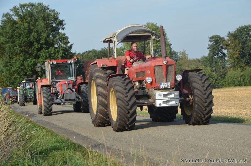 6. Feldtag 2018, Bild 5