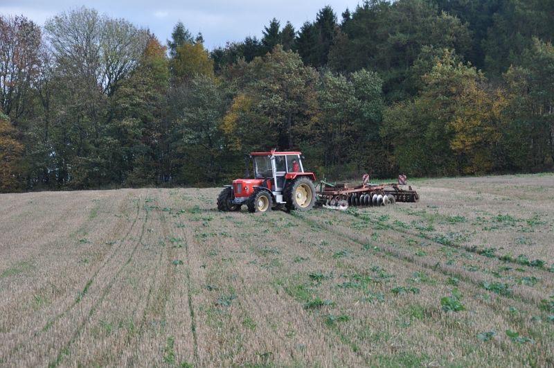 kleiner Feldtag in Harzberg