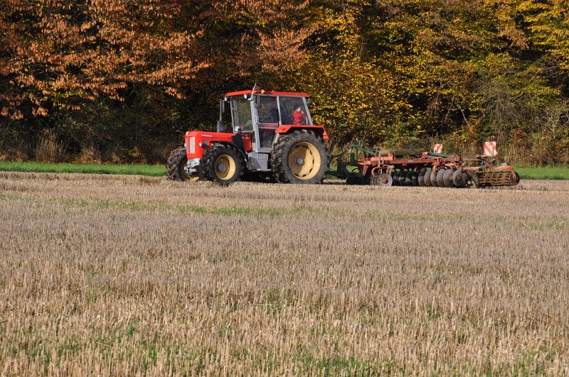 kleiner Feldtag in Harzberg, Bild 3