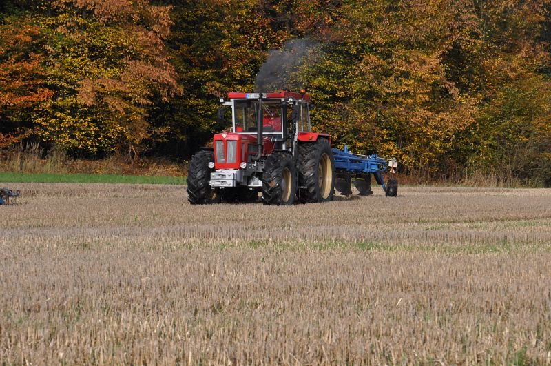 kleiner Feldtag in Harzberg, Bild 5