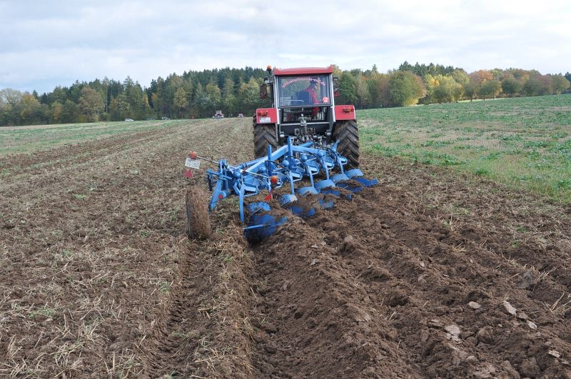 kleiner Feldtag in Harzberg, Bild 7