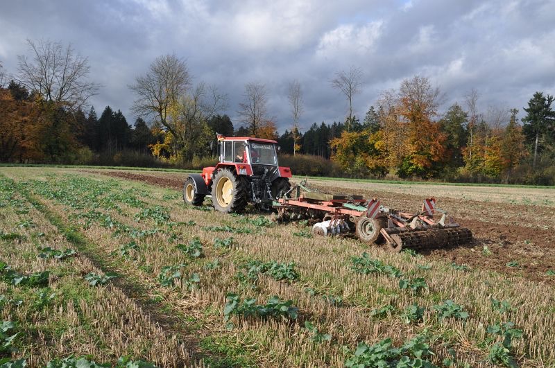 kleiner Feldtag in Harzberg, Bild 9