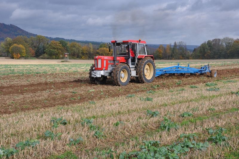 kleiner Feldtag in Harzberg, Bild 10