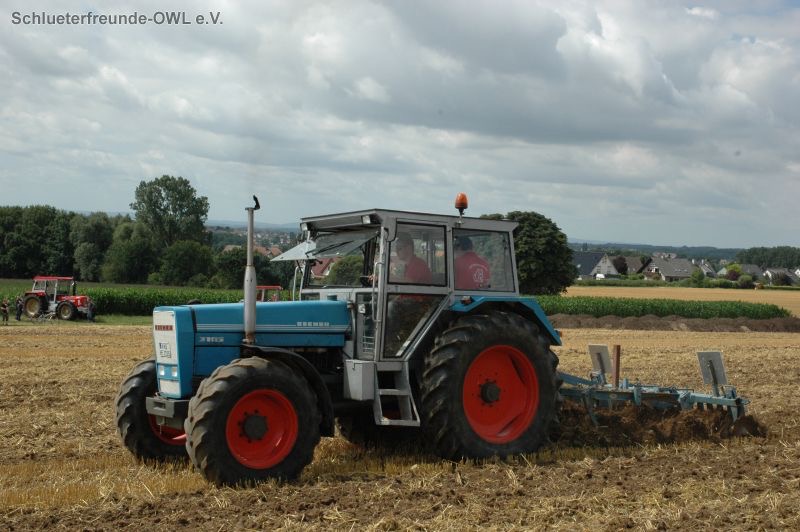 kleiner Feldtag, Bild 30