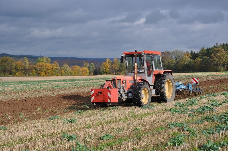 kleiner Feldtag in Harzberg, Bild 12