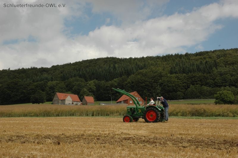 kleiner Feldtag, Bild 32