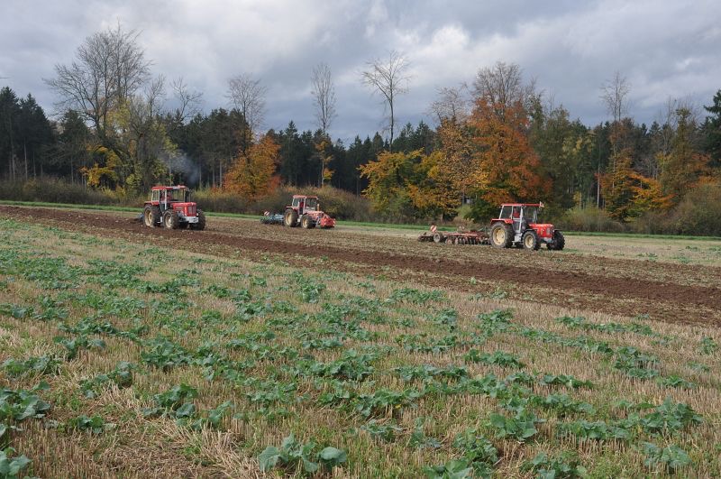 kleiner Feldtag in Harzberg, Bild 16