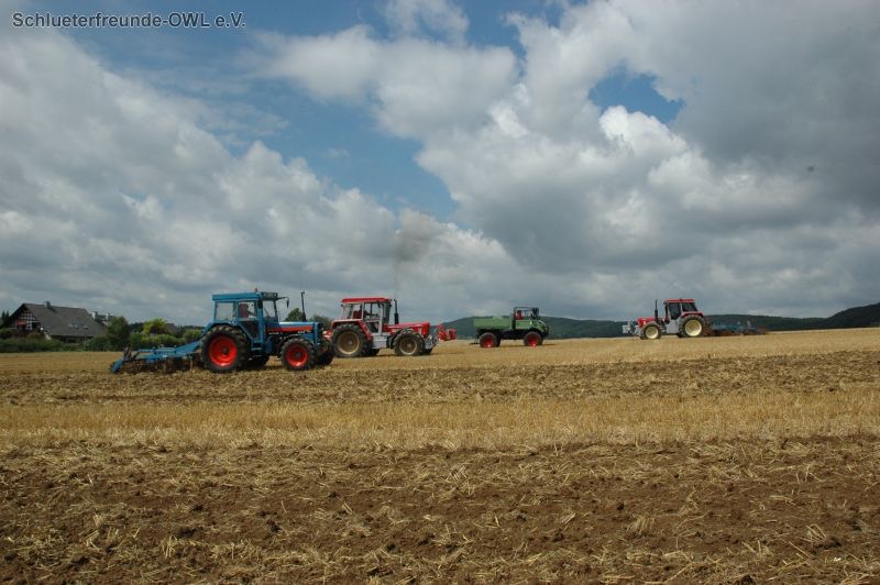 kleiner Feldtag, Bild 36
