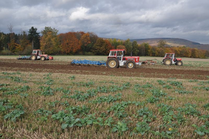 kleiner Feldtag in Harzberg, Bild 18