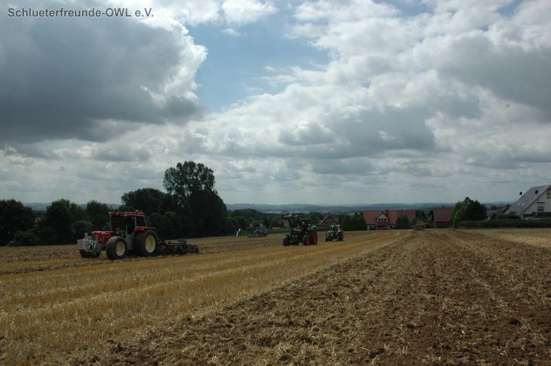 kleiner Feldtag, Bild 37