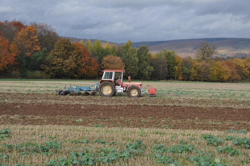 kleiner Feldtag in Harzberg, Bild 19
