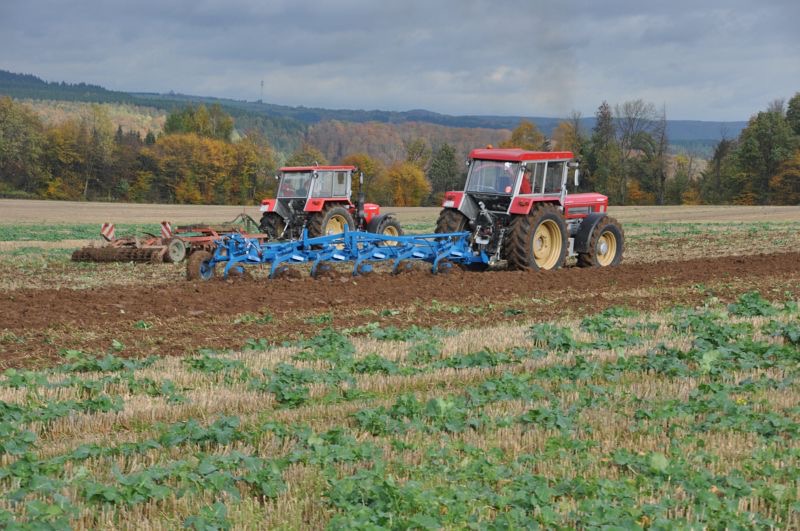 kleiner Feldtag in Harzberg, Bild 20
