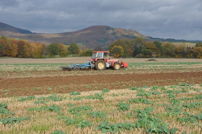 kleiner Feldtag in Harzberg, Bild 21